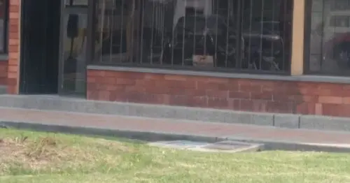 ALMEVAR PELUQUERIA ALMEVAR PELUQUERIA